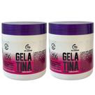 Kit 2 Un gelatina capilar unissex (pode ser utilizada em crianças) 500g - LGN Cosmétics