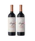 Kit 2 Un Vinho Família Bebber Almejo Merlot 750 ml