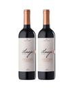 Kit 2 Un Vinho Família Bebber Almejo Tannat 750 ml