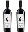 Kit 2 Un Vinho Fausto de Pizzato Tannat 750 ml