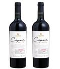 Kit 2 Un Vinho Larentis Cepas Selecionadas Teroldego 750 ml Kit 2 Un Vinho Larentis Cepas Selecionadas Teroldego 750 ml