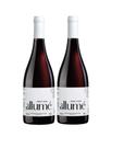 Kit 2 Un Vinho Pizzato Allumé Pinot Noir 750 ml