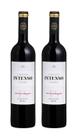 Kit 2 Un Vinho Salton Intenso Corte Tinto Suave 750 ml