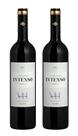Kit 2 Un Vinho Salton Intenso Merlot 750 ml