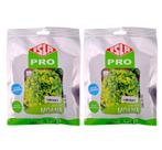 Kit 2 Unid Alface Crespa Moana isla 1000 Sementes Peletizadas Volumosa
