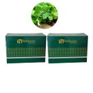 Kit 2 Unidades Sementes de Coentro Aruba 5kg - Cultivo Fácil e Produtivo