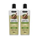 Kit 2 Unidades Shampoo de Alecrim 500ml