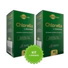 Kit 2 Unidades Suplemento de Algas Verdes QualyNutri com Zinco Ferro e Vitamina B12 Suporte Nutricional em Cápsulas Combo 120 Cápsulas Total Kit 2 Unidades Suplemento de Algas Verdes QualyNutri com Zinco Ferro e Vitamina B12 Suporte Nutricional em Cápsulas Combo 120 Cápsulas Total
