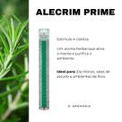 Kit 2 Varetas Mágicas Perfumadas Aromas Combinados para Perfumar e Decorar Sua Casa