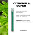 Kit 2 Varetas Mágicas Perfumadas Aromas Combinados para Perfumar e Decorar Sua Casa
