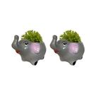 Kit 2 Vasinhos Chachepot, Para Plantas e Suculentas Elefante
