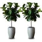 Kit 2 Vaso de Planta Luxo 12 litros Diamante Alto Resistente cor Cimento Plastico Pequeno Jardim