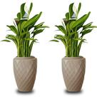 Kit 2 Vaso de Planta Luxo 23 litros Diamante Alto Resistente cor Areia Plastico Pequeno Jardim