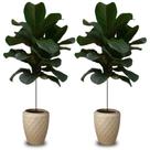 Kit 2 Vaso de Planta Luxo 6 litros Diamante Alto Resistente cor Areia Plastico Pequeno Jardim