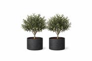 Kit 2 Vasos 20 Litros Feltro Allgreen