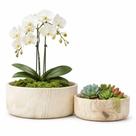 Kit 2 Vasos Bacia Linha Genebra Cachepot Para Decoração - Kit 2 Vasos Bacia Linha Genebra Cachepot Para Decoração -