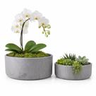 Kit 2 Vasos Bacia Linha Genebra Cachepot Para Decoração - Kit 2 Vasos Bacia Linha Genebra Cachepot Para Decoração -