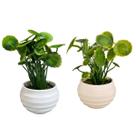 Kit 2 Vasos Cachepot Com Planta Artificial Rita 12cm Branco Kit 2 Vasos Cachepot Com Planta Artificial Rita 12cm Branco