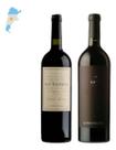 Kit 2 Vinho Argentino DV Cabernet Malbec E Alma Negra