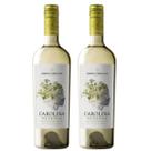 Kit 2 Vinho Branco Chileno Santa Carolina Reserva Sauvignon Blanc 750 ml Kit 2 Vinho Branco Chileno Santa Carolina Reserva Sauvignon Blanc 750 ml