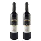Kit 2 Vinho Malbec Argentino Colina de Los Andes 750ml