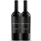 Kit 2 Vinho Stefanello Cabernet Sauvignon Tinto Seco 750ml Kit 2 Vinho Stefanello Cabernet Sauvignon Tinto Seco 750ml
