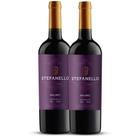 Kit 2 Vinho Stefanello Malbec Tinto Seco 750ml