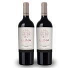 Kit 2 Vinho Tinto Luna Malbec 750ml Argentino de Mendonza Encorpado 9 Meses em Carvalho Francês Sabor intenso e elegante