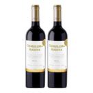 Kit 2 Vinhos Cordillera Andina Merlot Tinto Chile 750ml