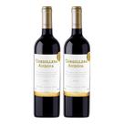 Kit 2 Vinhos Cordillera Andina Syrah Tinto Chile 750ml