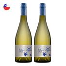 Kit 2 Vinhos Kalfu Reserva Molu Sauvignon Blanc Branco Chile 750ml