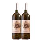 Kit 2 Vinhos Leone di Venezia Pinot Grigio 2022 Branco Brasil 750ml