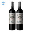 Kit 2 Vinhos San Telmo Malbec Tinto Argentina 750ml