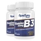 Kit 2 Vitamina B3 Apisnutri 60 Cápsulas