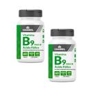 Kit 2 Vitamina B9 Ácido Fólico 600mcg 60 Cápsulas Chamel