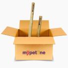 Kit 2 Wood n Pets Amicus Brinquedo Sustentável para Cães - M e G