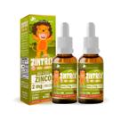 Kit 2 Zinco Gotas 20ml Sabor Morango Zintrix Kids Flora Nativa