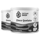 Kit 2 Zinco Quelato Ocean Drop Vegano 60 Cápsulas