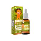 Kit 2 ZINTRIX Zinco Infantil 2x20ml Morango Flora Nativa