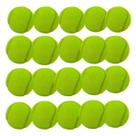 Kit 20 Bolinhas De Tênis Para Pet (RUIM)