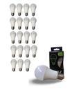Kit 20 Lâmpada Led Bulbo 12w Frio 6500K