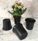 Kit 20 peças de vaso plástico nº6 para suculentas ou violetas - cor preta
