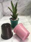 Kit 20 peças de vaso plástico nº6 para suculentas ou violetas - cores sortidas