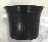 Kit 20 peças de vasos plásticos nº11 para suculentas ou violetas - cor preta