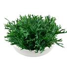 Kit 20 Pendentes de Folhagem Artificial de Pendente Chifre de Veado Planta Artificial de Qualidade - DE645606