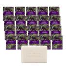 Kit 20 Sabonete Phebo Alfazema Provençal em Barra Cremoso 100g