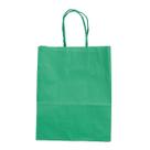 Kit 20 Unidades Sacola Verde 17,5x8,5x21,5cm Embalagem Reforçada Presente Lembrança