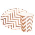 Kit 20un Prato Copo Papel Festas Zig ZAg Rose