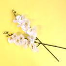 Kit 24 Flores Artificiais Haste de Orquídea Toque Real Branca Atacado