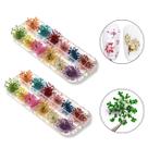 Kit 24 Flores Secas Decoração e Encapsulamento de Unhas Gel Manicure Nail Designer Nail Art Unhas Decoradas Acrygel Fibra de Vidro Naturais